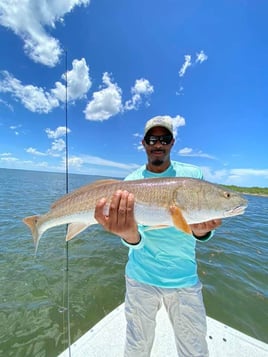 Redfish Fishing in Clearwater, Florida