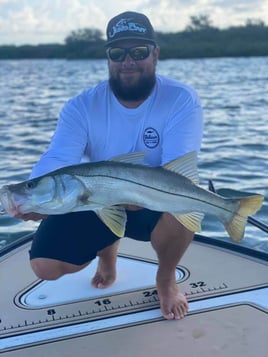 Snook Fishing in Clearwater, Florida