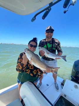 Snook Fishing in Clearwater, Florida