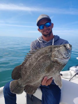 Tripletail Fishing in Clearwater, Florida