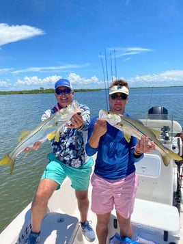 Snook Fishing in Clearwater, Florida