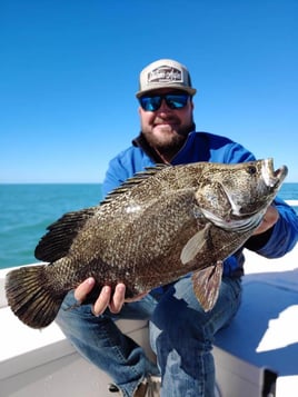 Tripletail Fishing in Clearwater, Florida