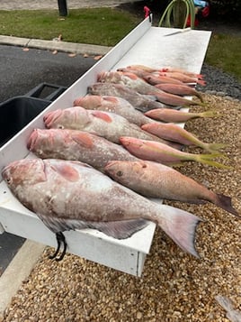 Sarasota Offshore Grocery Run