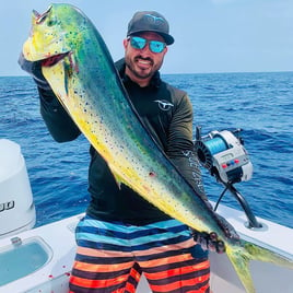 Mahi Mahi Fishing in Miami Beach, Florida