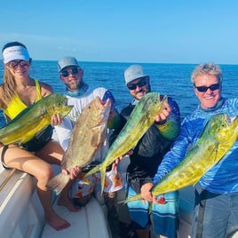 Mahi Mahi Fishing in Miami Beach, Florida