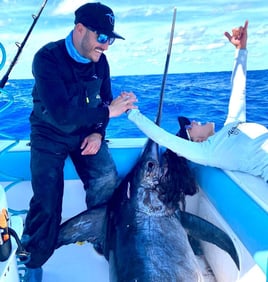 Swordfish Fishing in Miami Beach, Florida