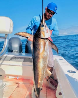 Swordfish Fishing in Miami Beach, Florida