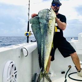 Mahi Mahi Fishing in Miami Beach, Florida