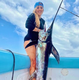 Swordfish Fishing in Miami Beach, Florida