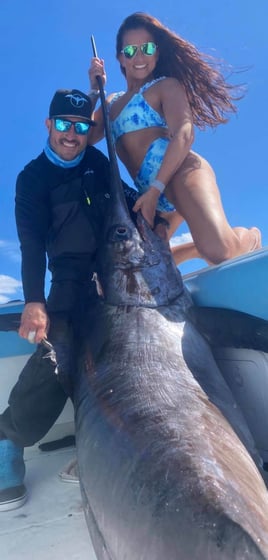 Swordfish Fishing in Miami Beach, Florida