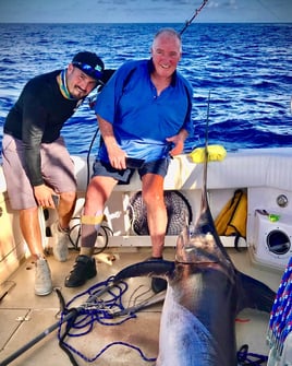 Swordfish Fishing in Miami Beach, Florida