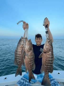 Snowy Grouper Fishing in Miami Beach, Florida