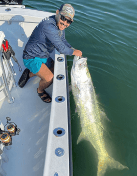 Tarpon Fishing in Miami Beach, Florida