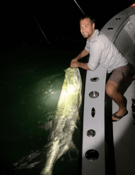 Tarpon Fishing in Miami Beach, Florida