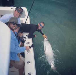 Tarpon Fishing in Miami Beach, Florida