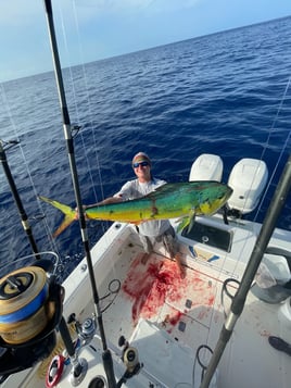 Mahi Mahi Fishing in Islamorada, Florida