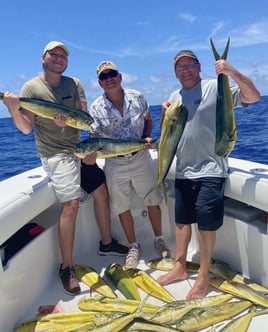 Mahi Mahi Fishing in Islamorada, Florida