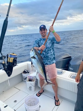 Yellowfin Tuna Fishing in Islamorada, Florida