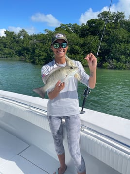 Islamorada Reefs and Wrecks