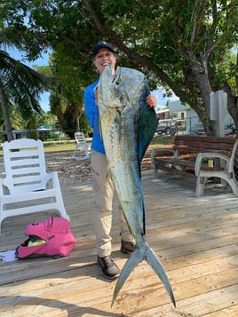 Mahi Mahi Fishing in Islamorada, Florida