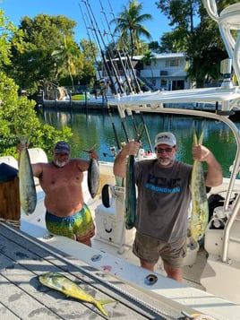 Mahi Mahi Fishing in Islamorada, Florida