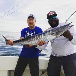 Wahoo Fishing in Miami Beach, Florida