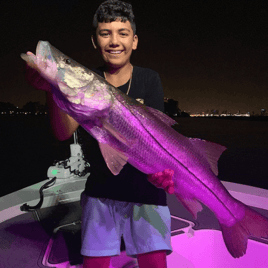 Snook Fishing in Key Biscayne, Florida