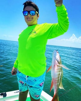 Mutton Snapper Fishing in Key Biscayne, Florida