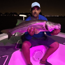 Snook Fishing in Key Biscayne, Florida