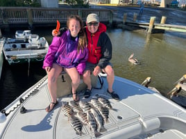 Sheepshead Fishing in Port Orange, Florida