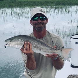 Redfish Fishing in Hilton Head Island, South Carolina