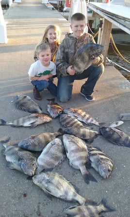 Sheepshead Fishing in Biloxi, Mississippi