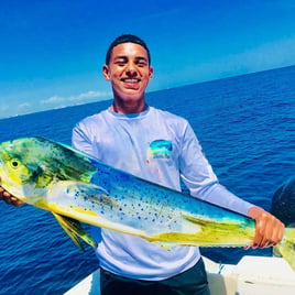 Mahi Mahi Fishing in Miami, Florida