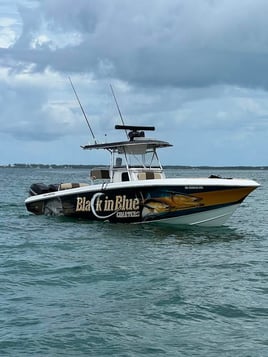 Bahamas Offshore Tuna Trip