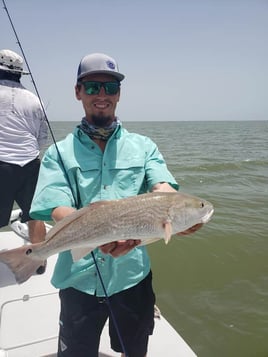 Bay fishing trips