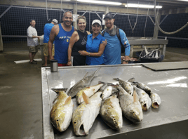 Bay fishing trips