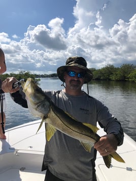 Snook Fishing in Hudson, Florida