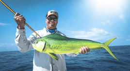 Mahi Mahi Fishing in Islamorada, Florida