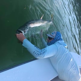 Tarpon Fishing in Islamorada, Florida