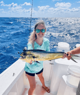 Mahi Mahi Fishing in Islamorada, Florida