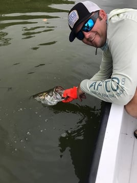 Puerto Rico Tarpon Adventure