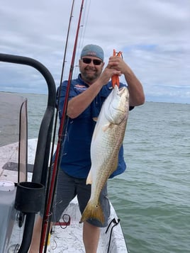 Bay and Jetty Fishing