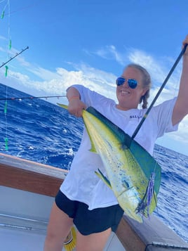 Mahi Mahi Fishing in Key Largo, Florida