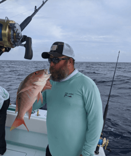 Mutton Snapper Fishing in Key Largo, Florida