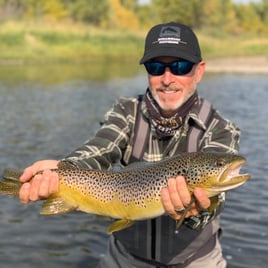 Brown Trout Fishing in Missoula, Montana