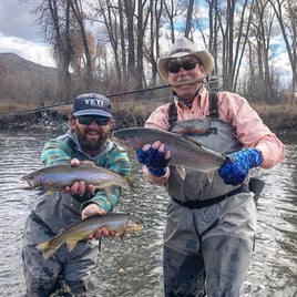 Brown Trout, Rainbow Trout Fishing in Missoula, Montana