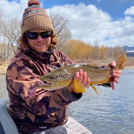 Brown Trout Fishing in Missoula, Montana