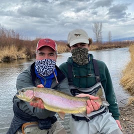 Rainbow Trout Fishing in Missoula, Montana