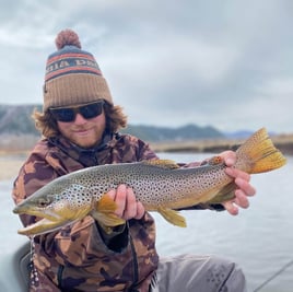 Rainbow Trout Fishing in Missoula, Montana