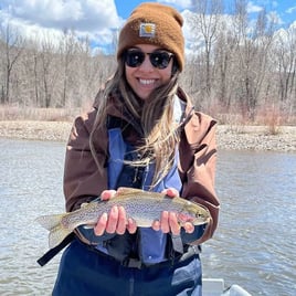 Brown Trout Fishing in Missoula, Montana